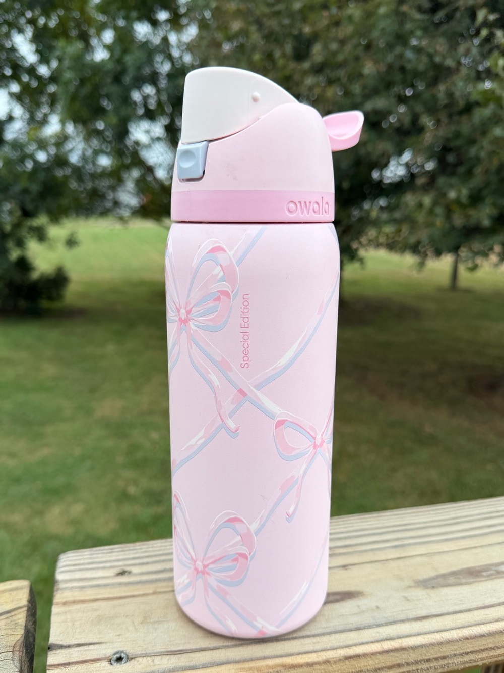 Owala Bow 32 oz Sugar Plum Fairy